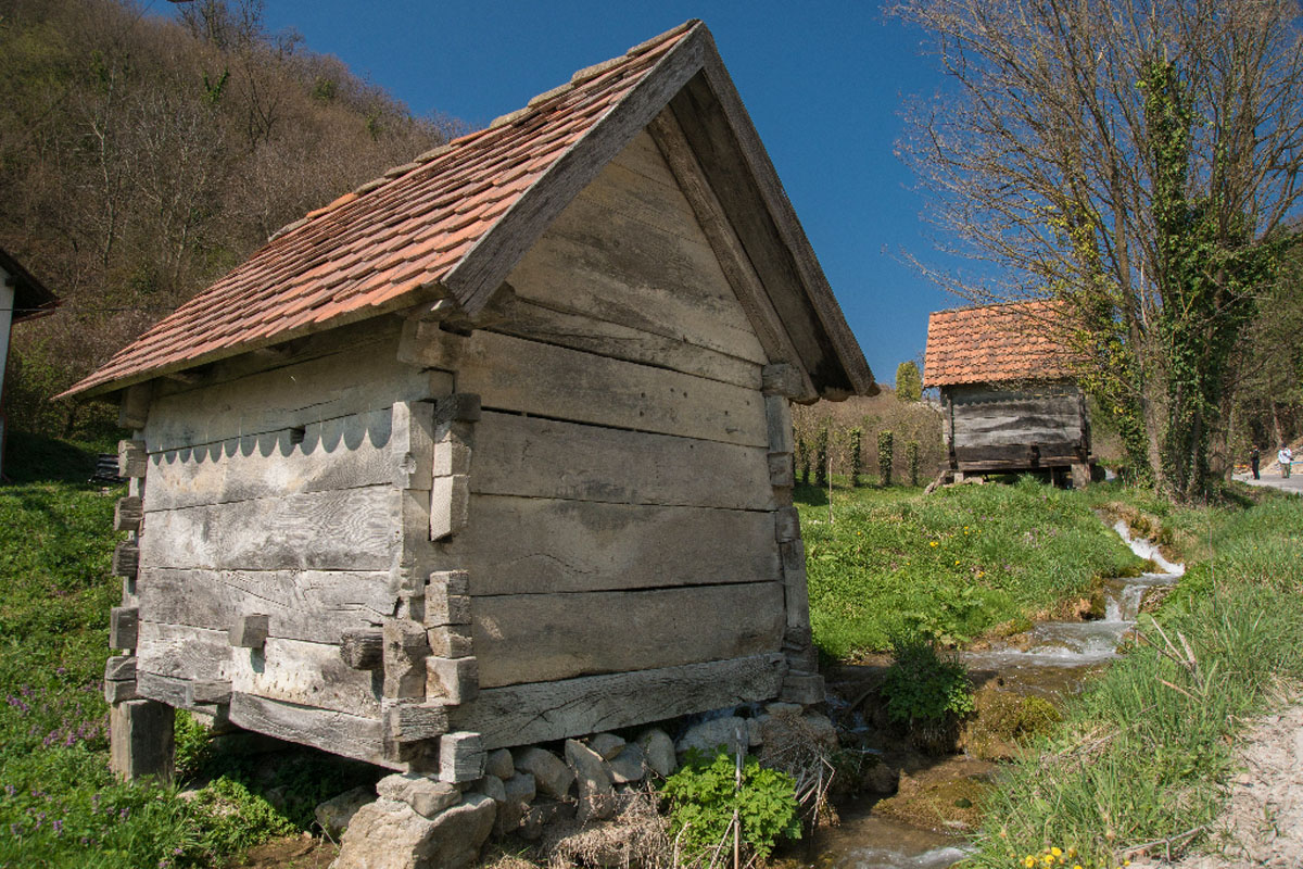 DRAGA SVETOJANSKA040 25 03 17