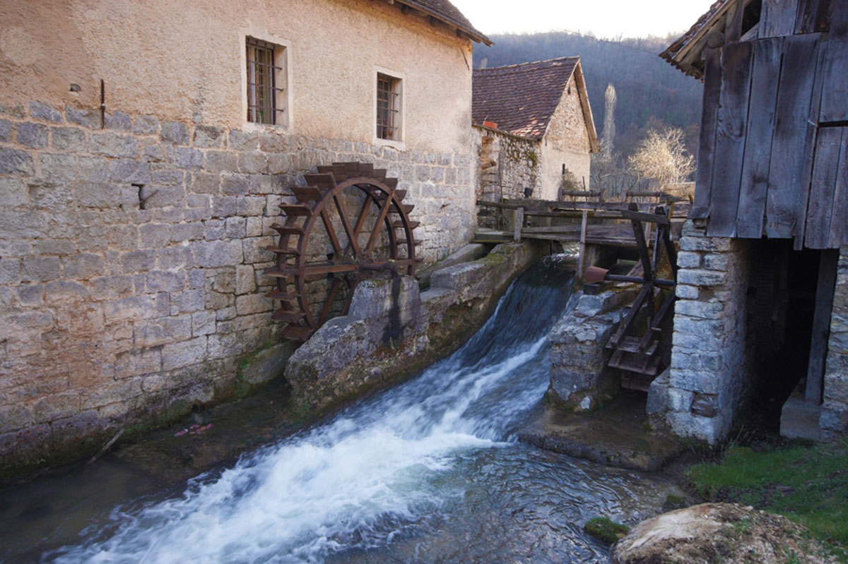 MEDVEN DRAGA01 08 03 09
