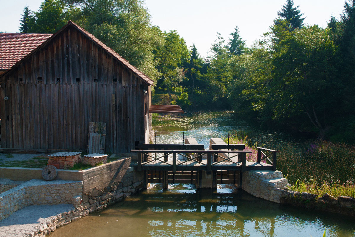 MREZNICA012 27 07 13