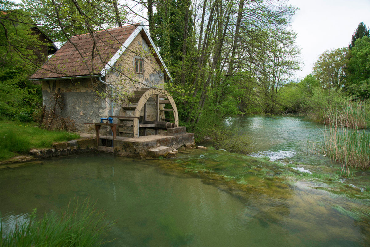 MREZNICA015 01 05 15