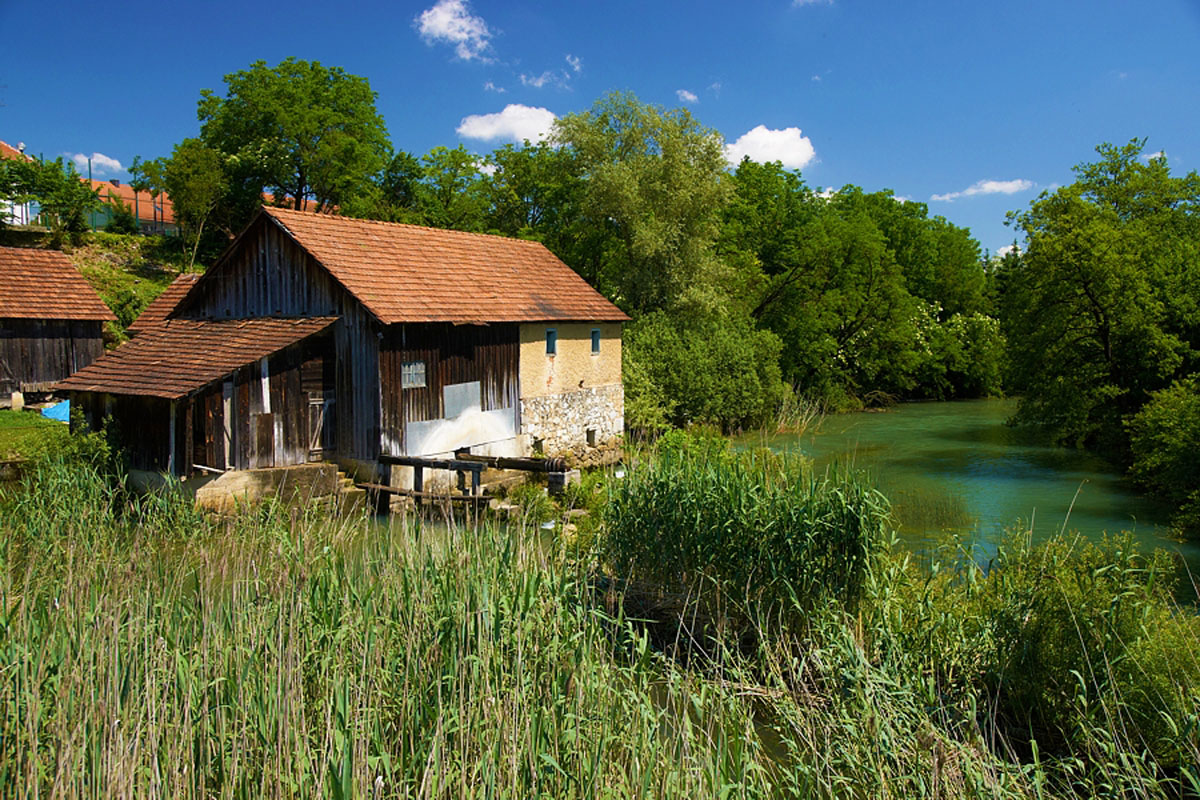 MREZNICA05 06 06 10