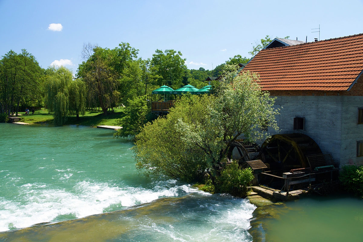 MREZNICA15 06 06 10