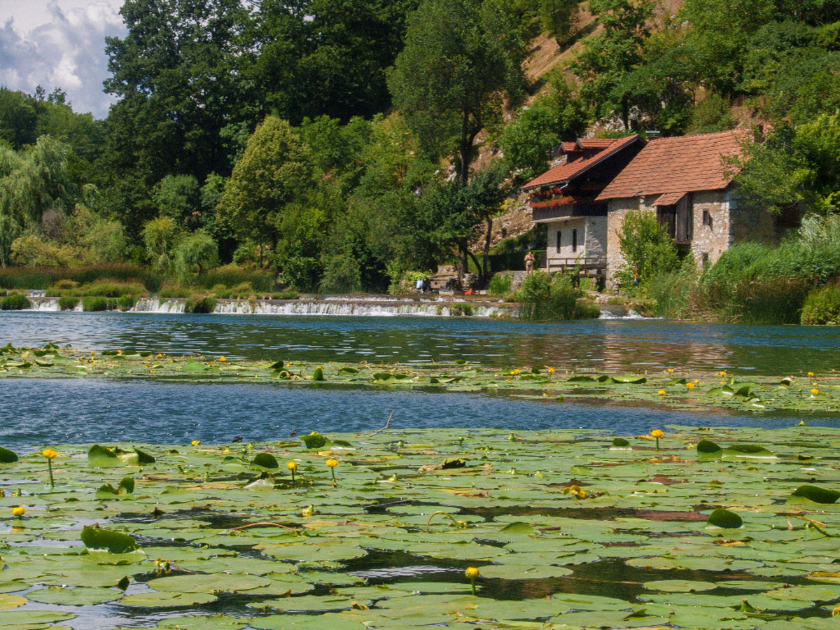 MREZNICA21 30 06 17