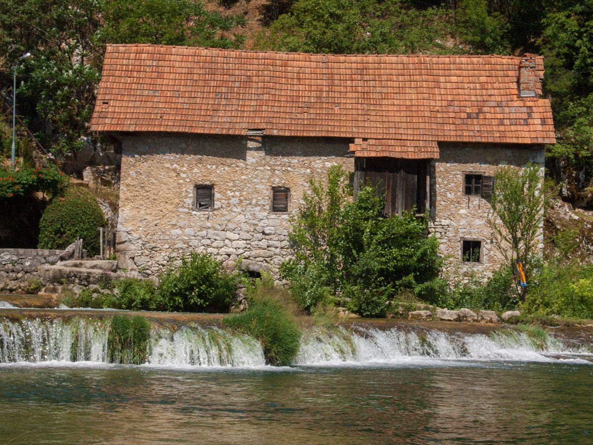 MREZNICA31 30 06 17