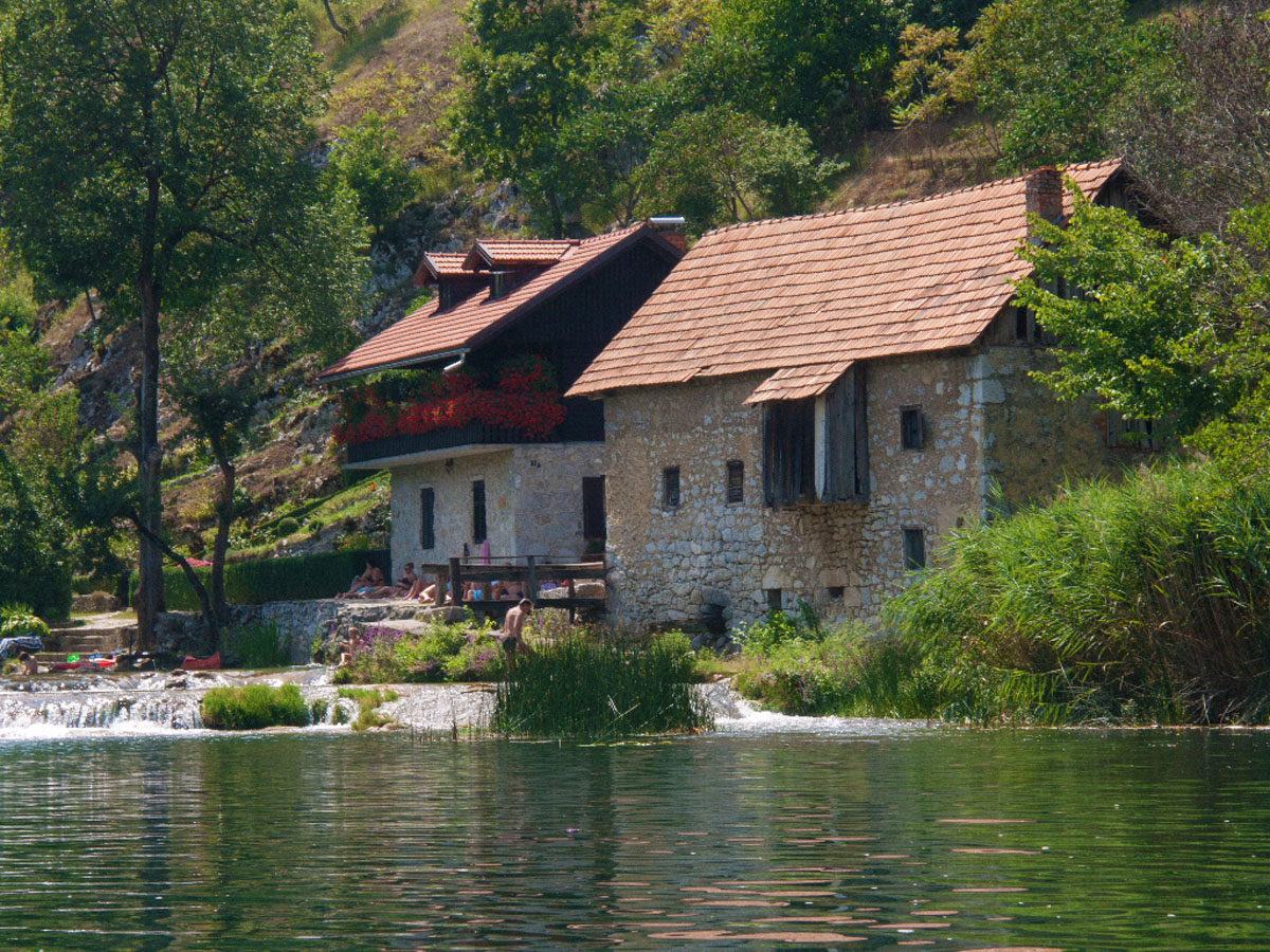 MREZNICA34 31 07 12