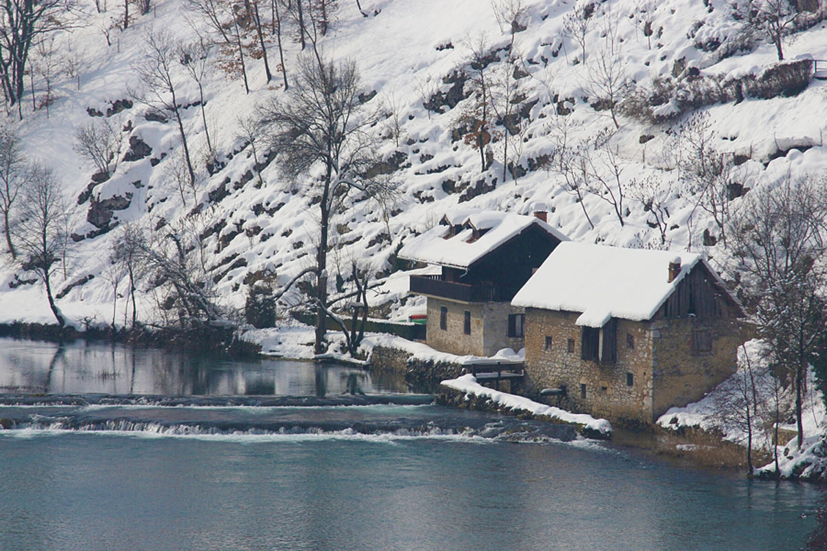 MREZNICA65 13 02 10