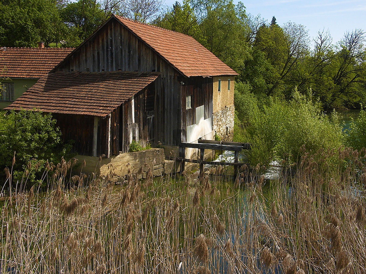 MREZNICA BELAVICI18 07. 05 2005