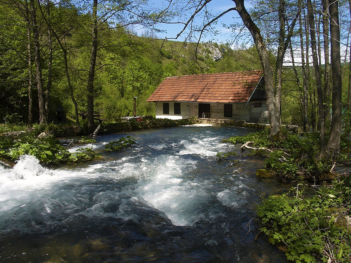 SUSNJAR49 7. 05 2005