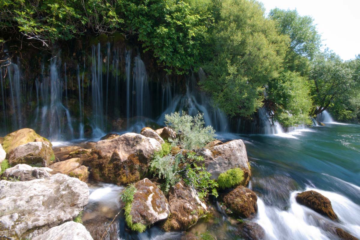 CETINA153 19 05 11