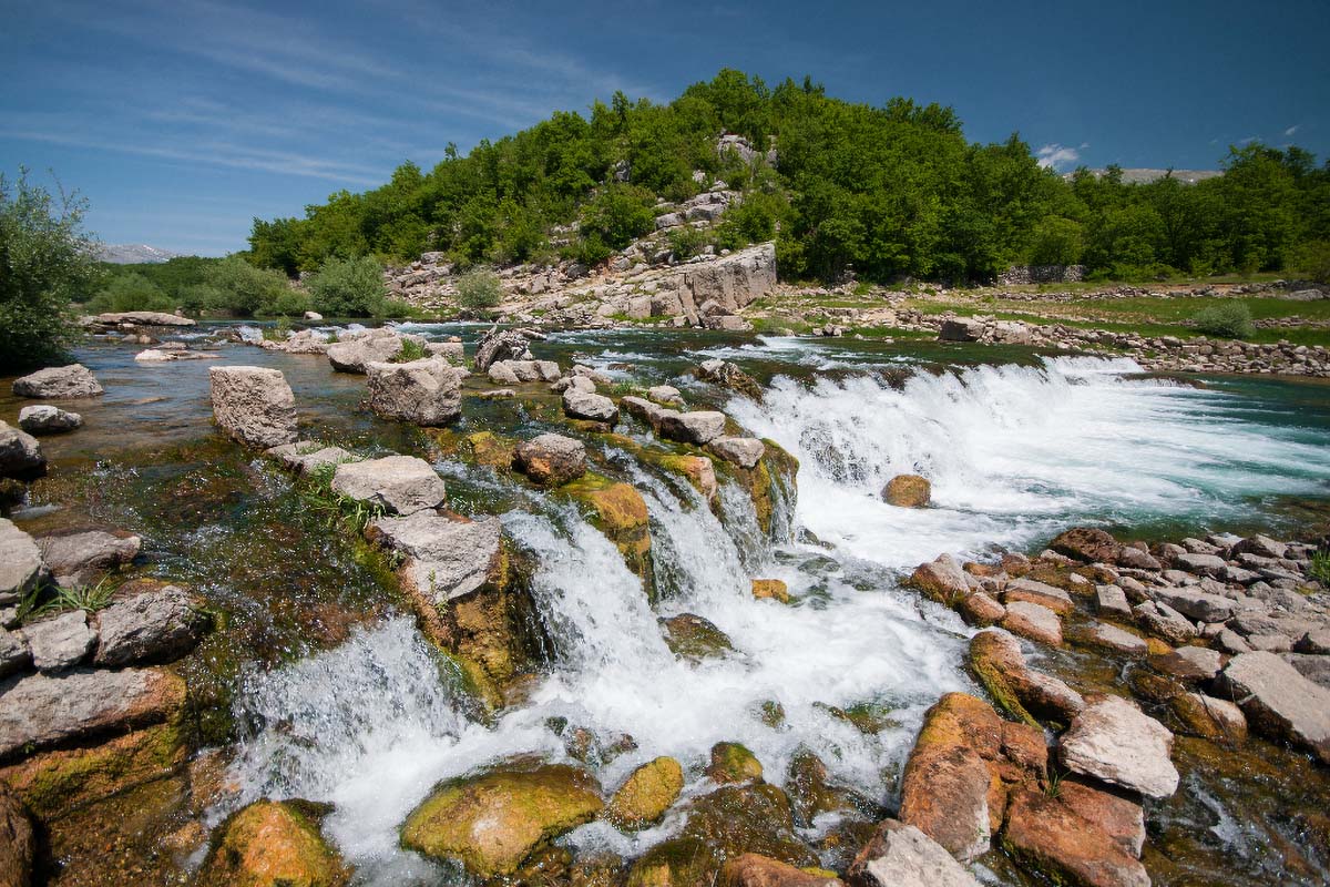CETINA175 20 05 12