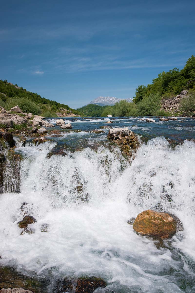 CETINA185 20 05 12
