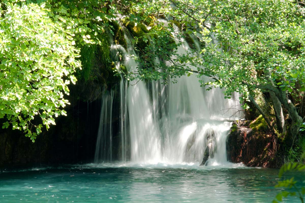 CETINA35 18 05 11