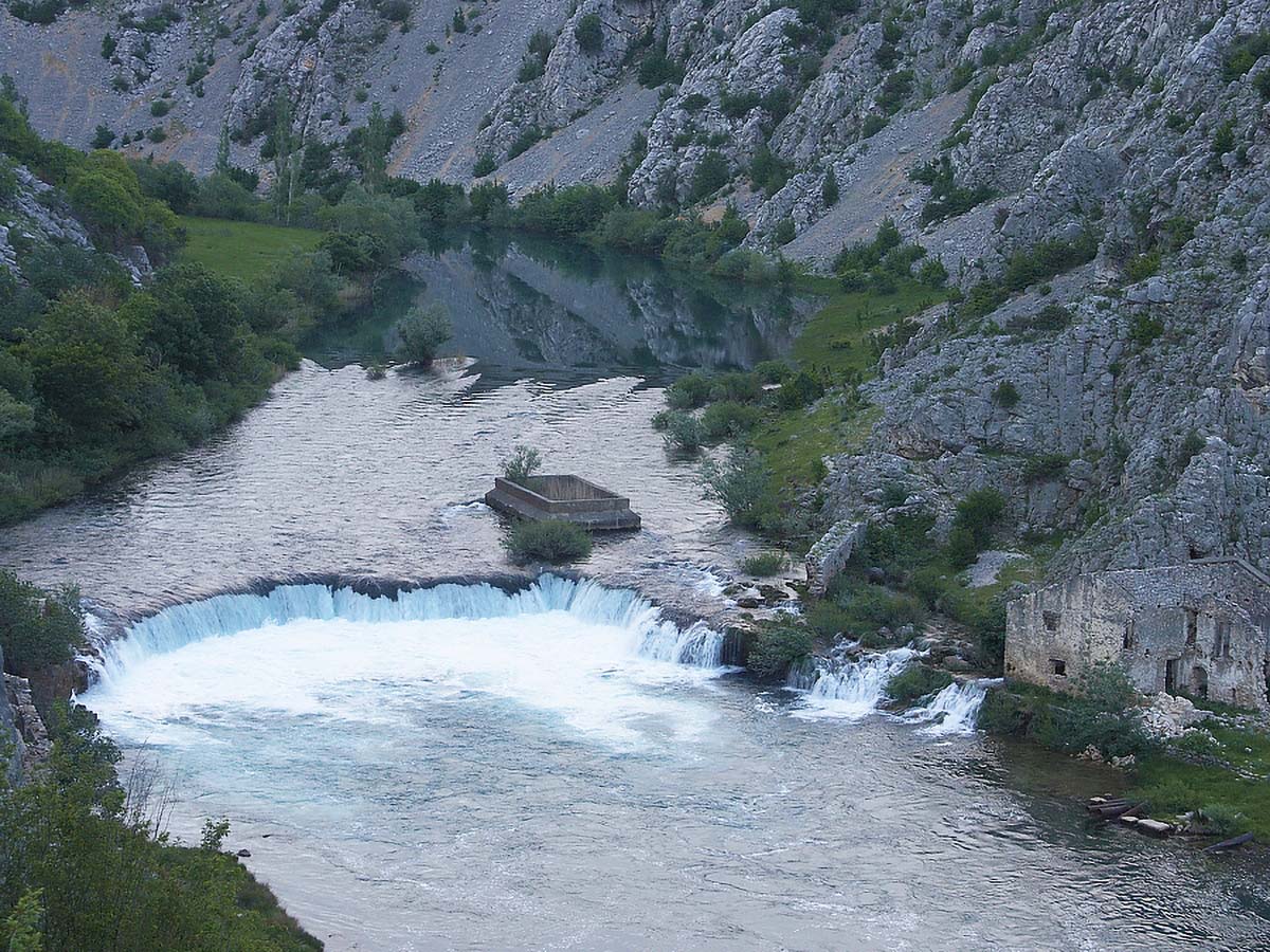 JANKOVICA BUK13 14. 05 2005