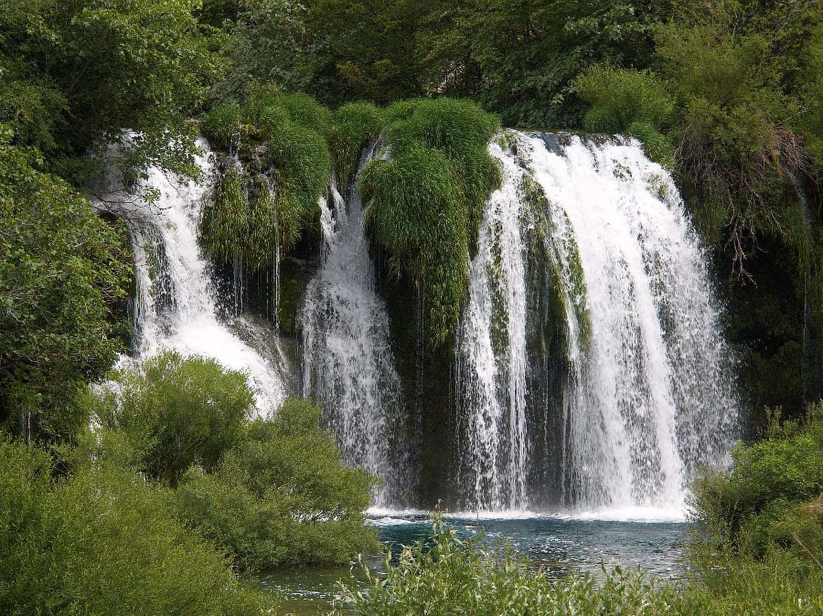 KRUPA DRAGICEVICA BUK15 23 06 06