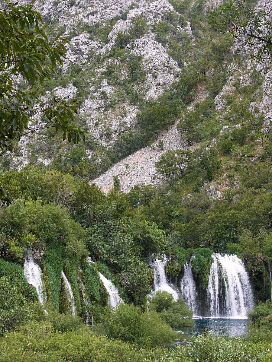 KRUPA DRAGICEVICA BUK18 23 06 06