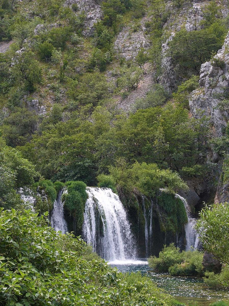 KRUPA DRAGICEVICA BUK3 23 06 06