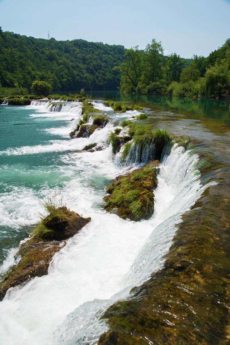 MREZNICA007 04 06 15