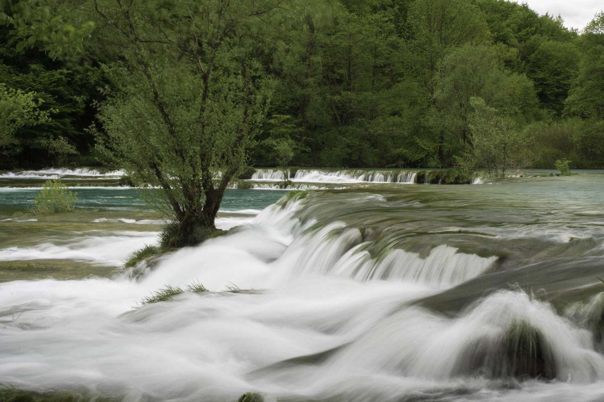 MREZNICA082 01 05 15