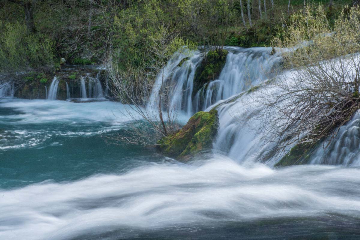 MREZNICA282 03 04 16