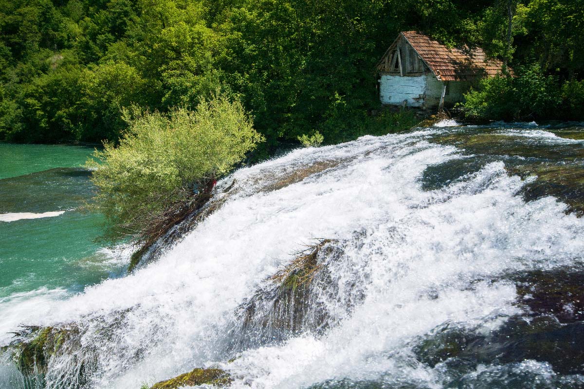 MREZNICA37 18 06 16