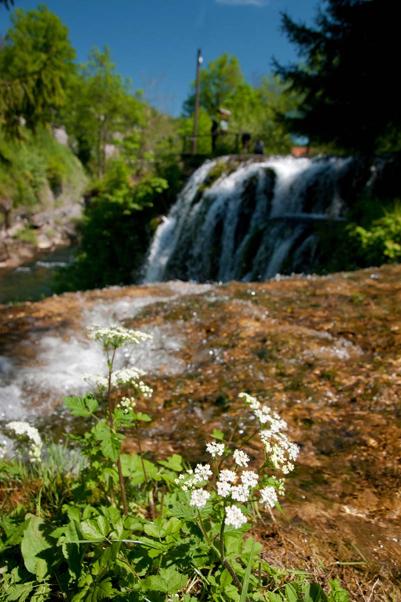RASTOKE210 01 05 12