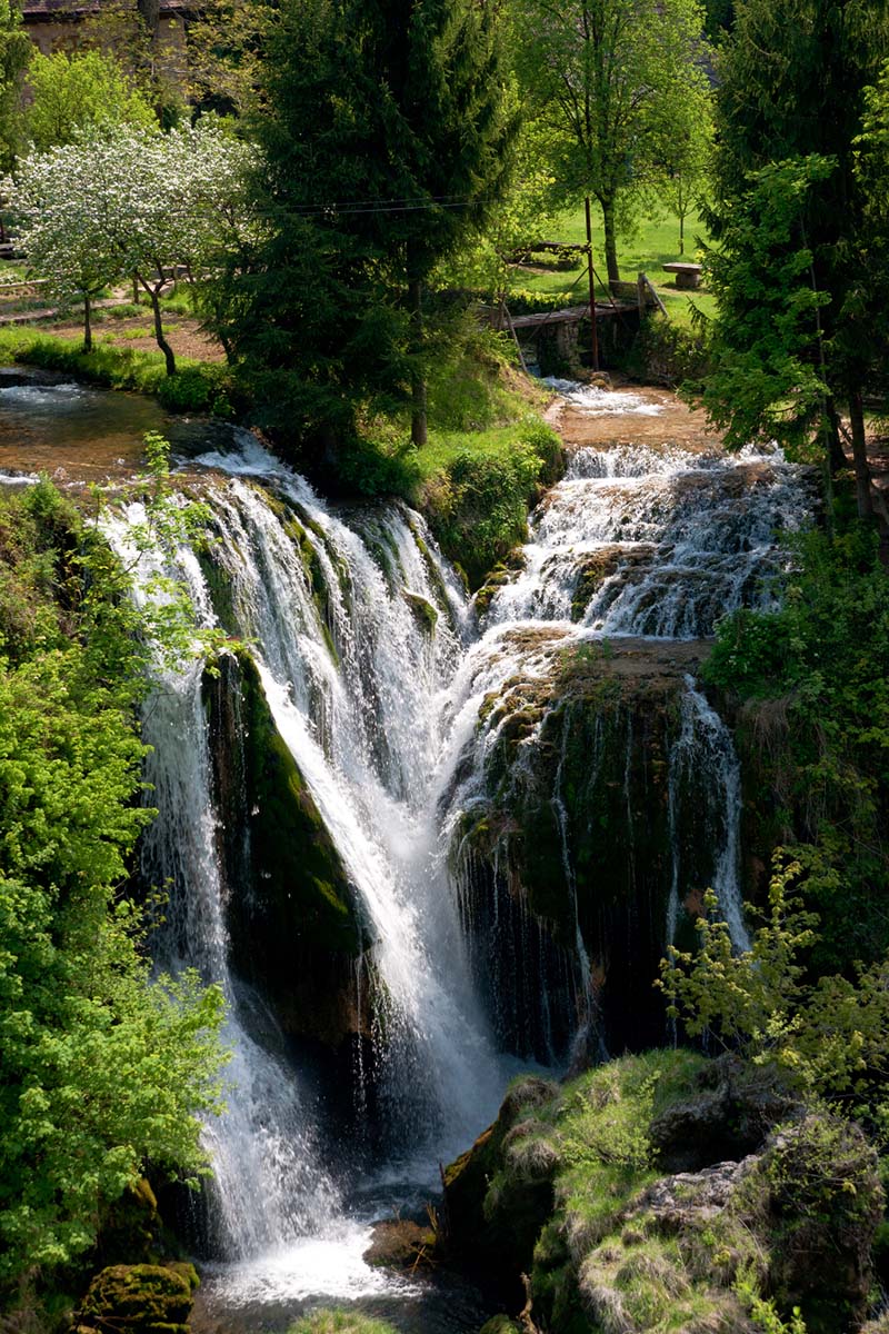RASTOKE342 01 05 12