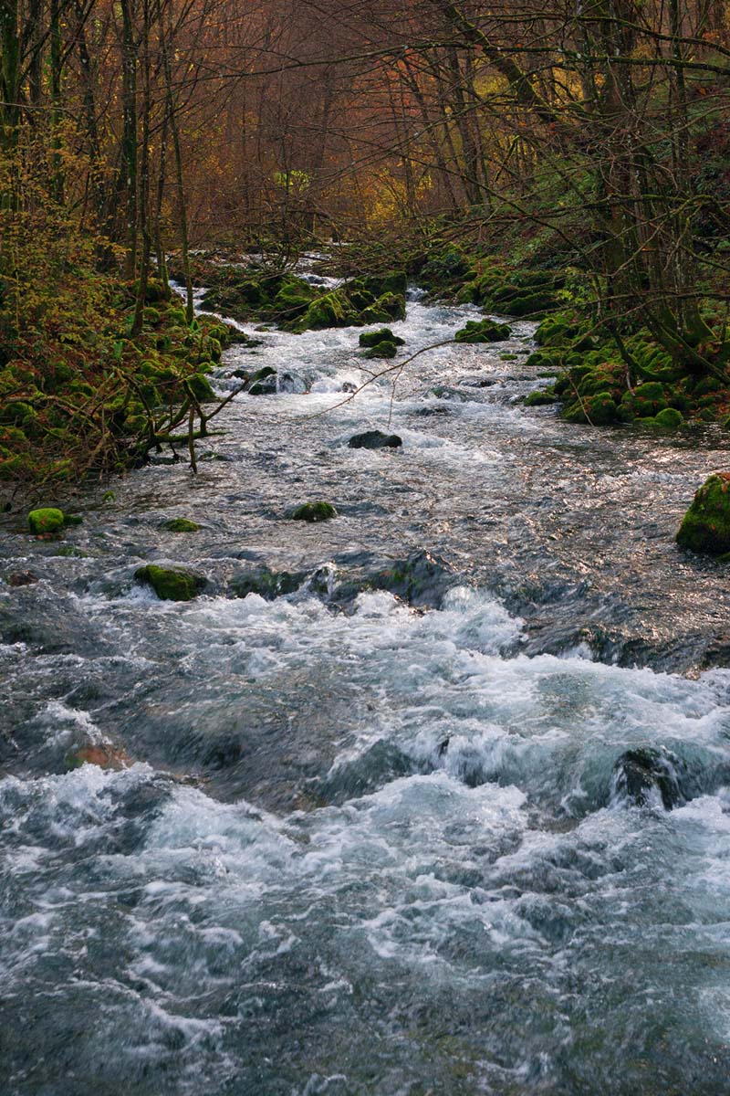 RUDNICA20 15 11 14