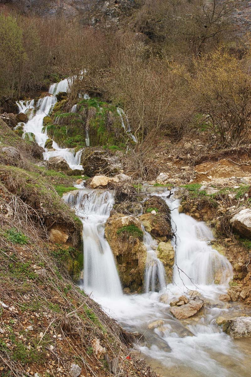 SINICIC19 04 04 08