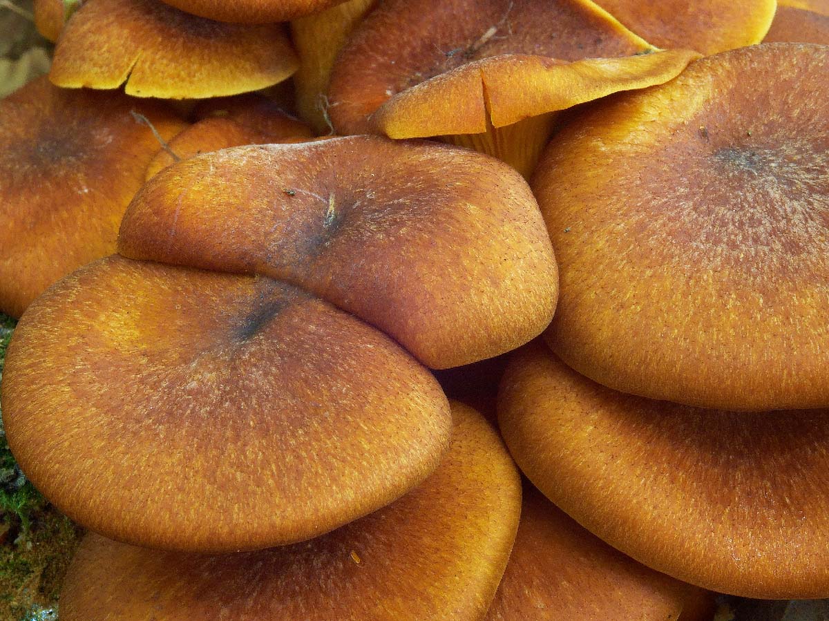 R 07. 09 2005