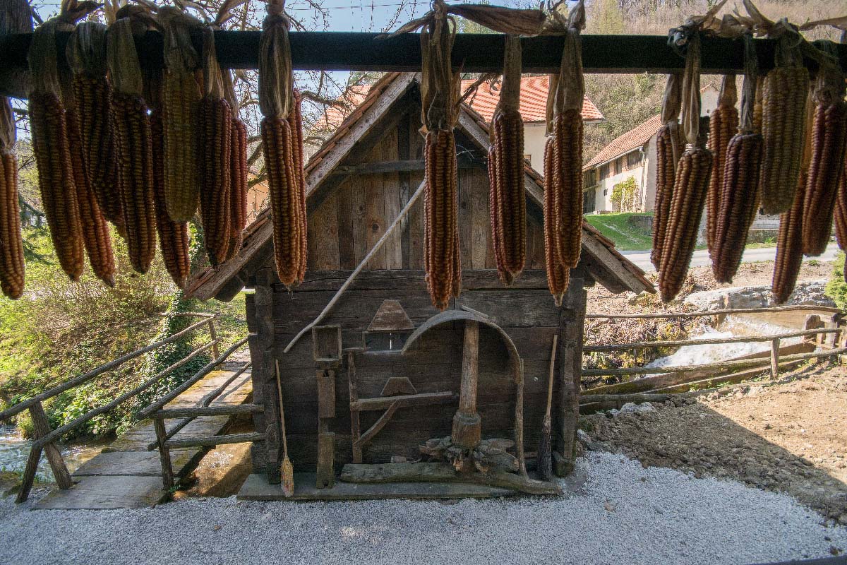 DRAGA SVETOJANSKA070 25 03 17