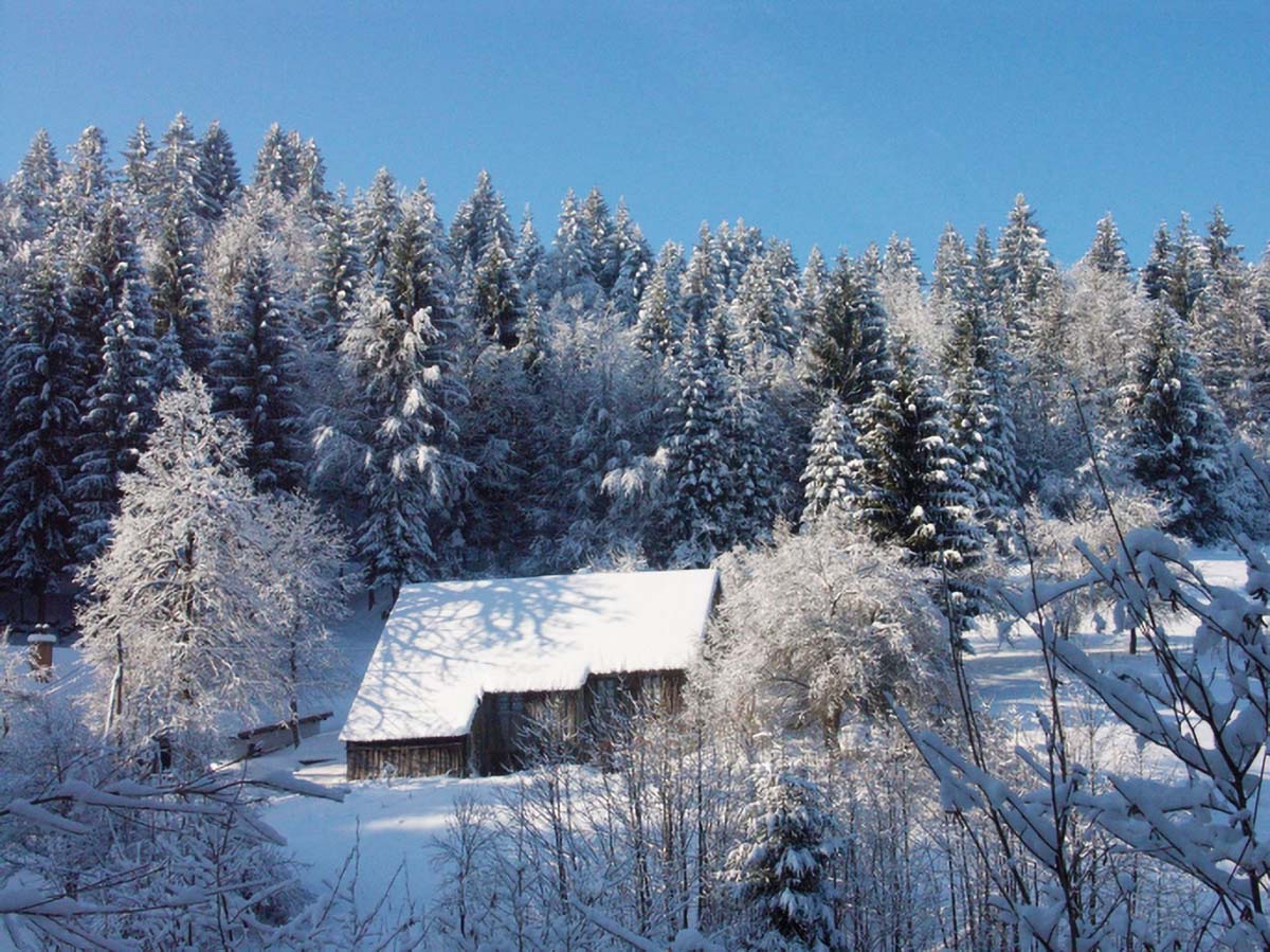 GORSKI KOTAR05 10 01 09