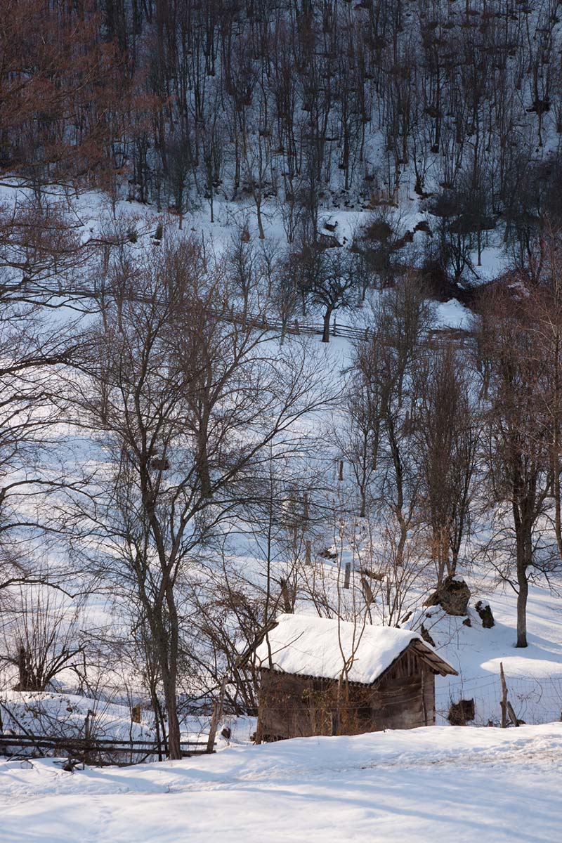 GVOZDANSKO106 18 02 12
