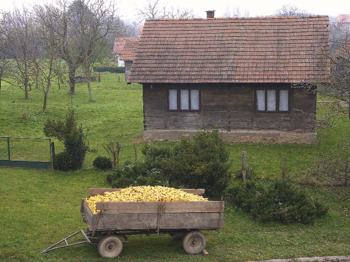 KLOSTAR IVANIC2 05. 11 2005