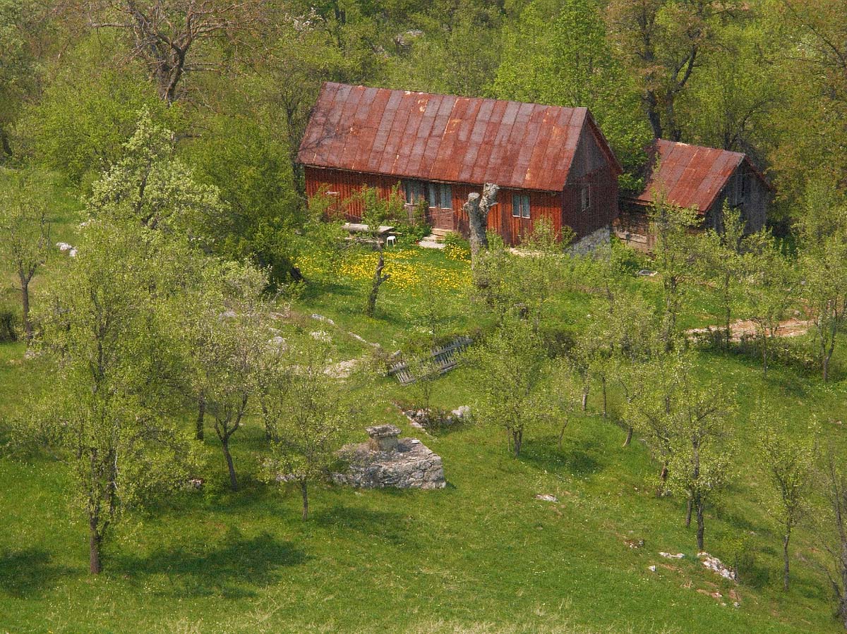 KUTEREVO65 06 05 06