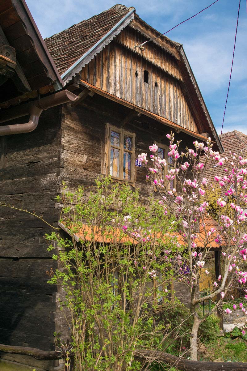 LETOVANIC09 23 03 17