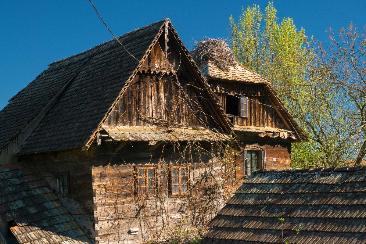LONJSKO POLJE009 21 04 18