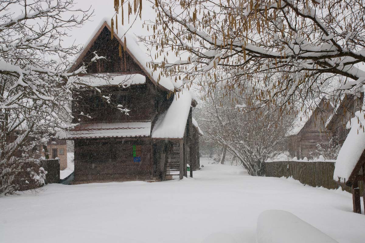 LONJSKO POLJE020 12 02 12