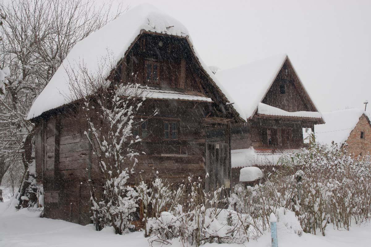 LONJSKO POLJE032 12 02 12