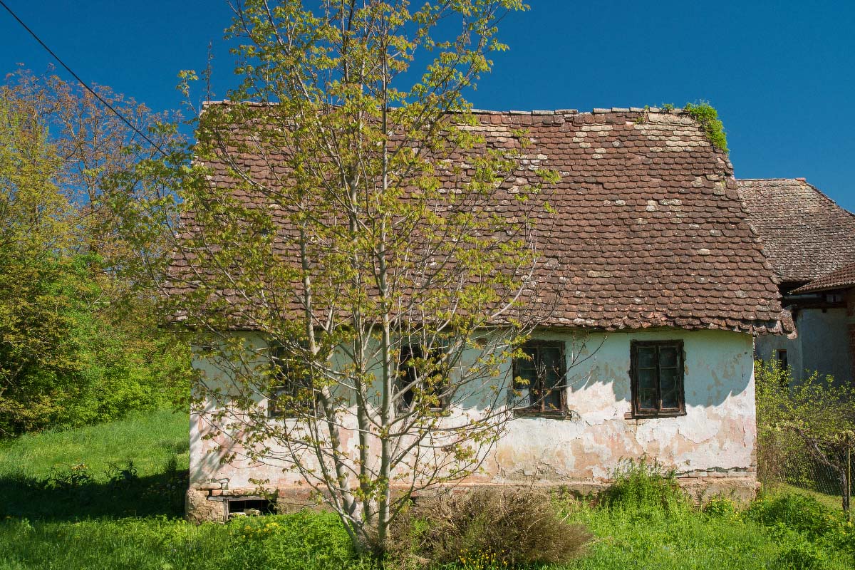 LONJSKO POLJE085 21 04 18