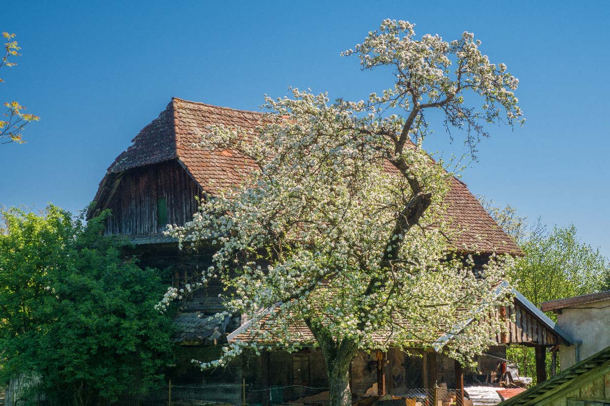 LONJSKO POLJE087 21 04 18