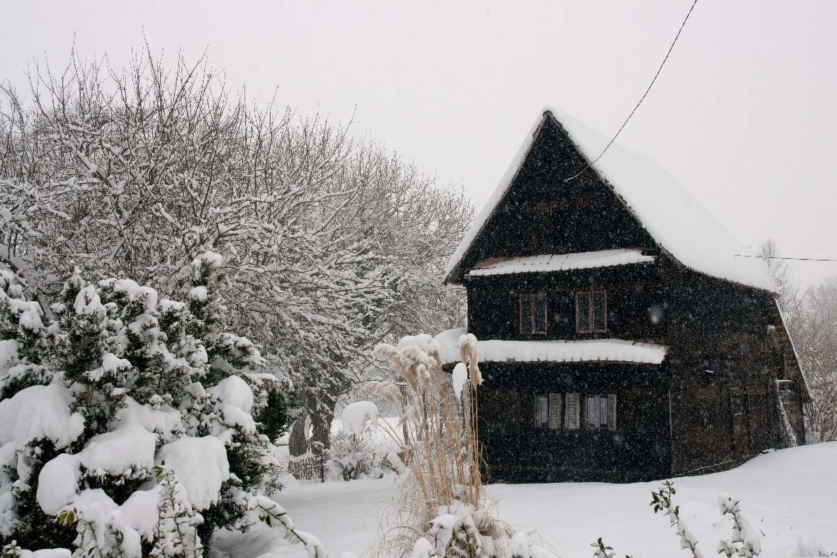 LONJSKO POLJE157 12 02 12