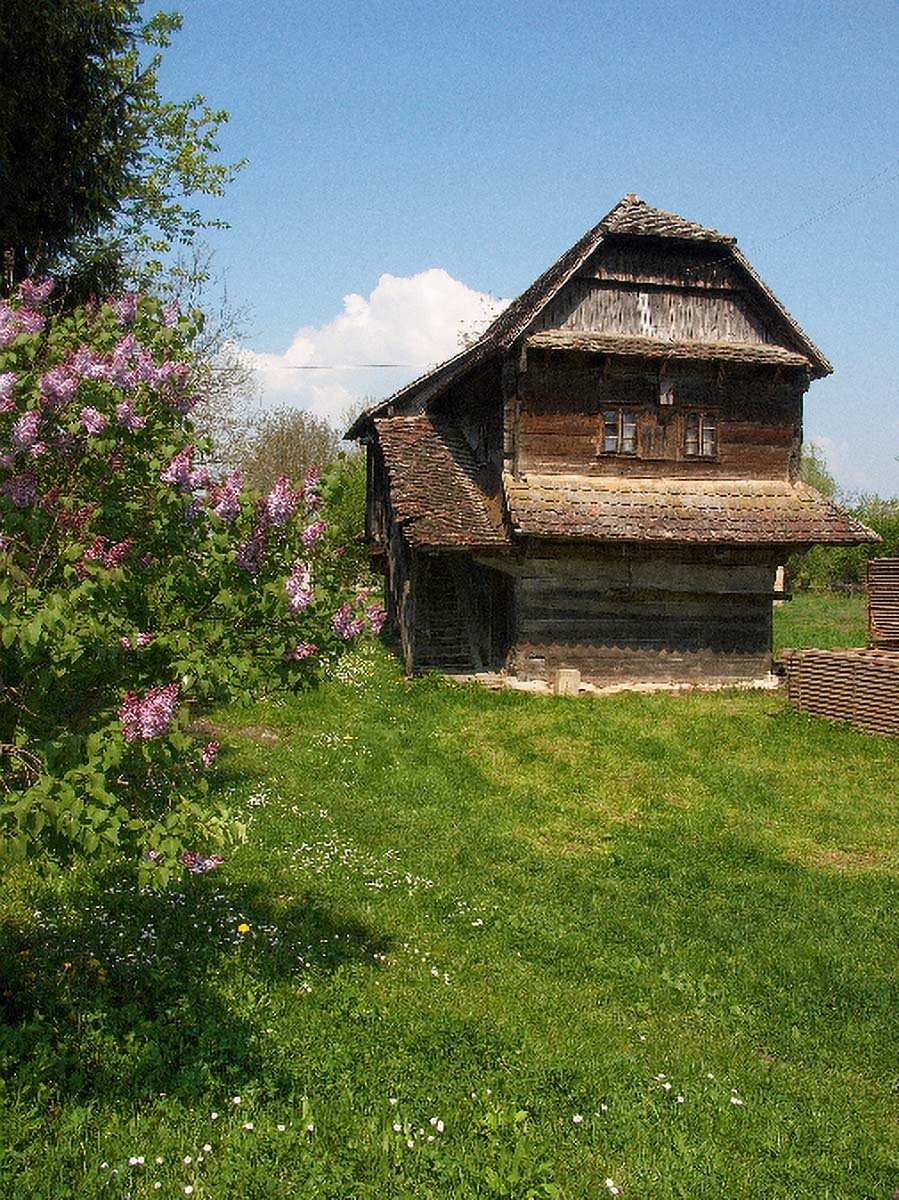 LONJSKO POLJE16 22 04 06