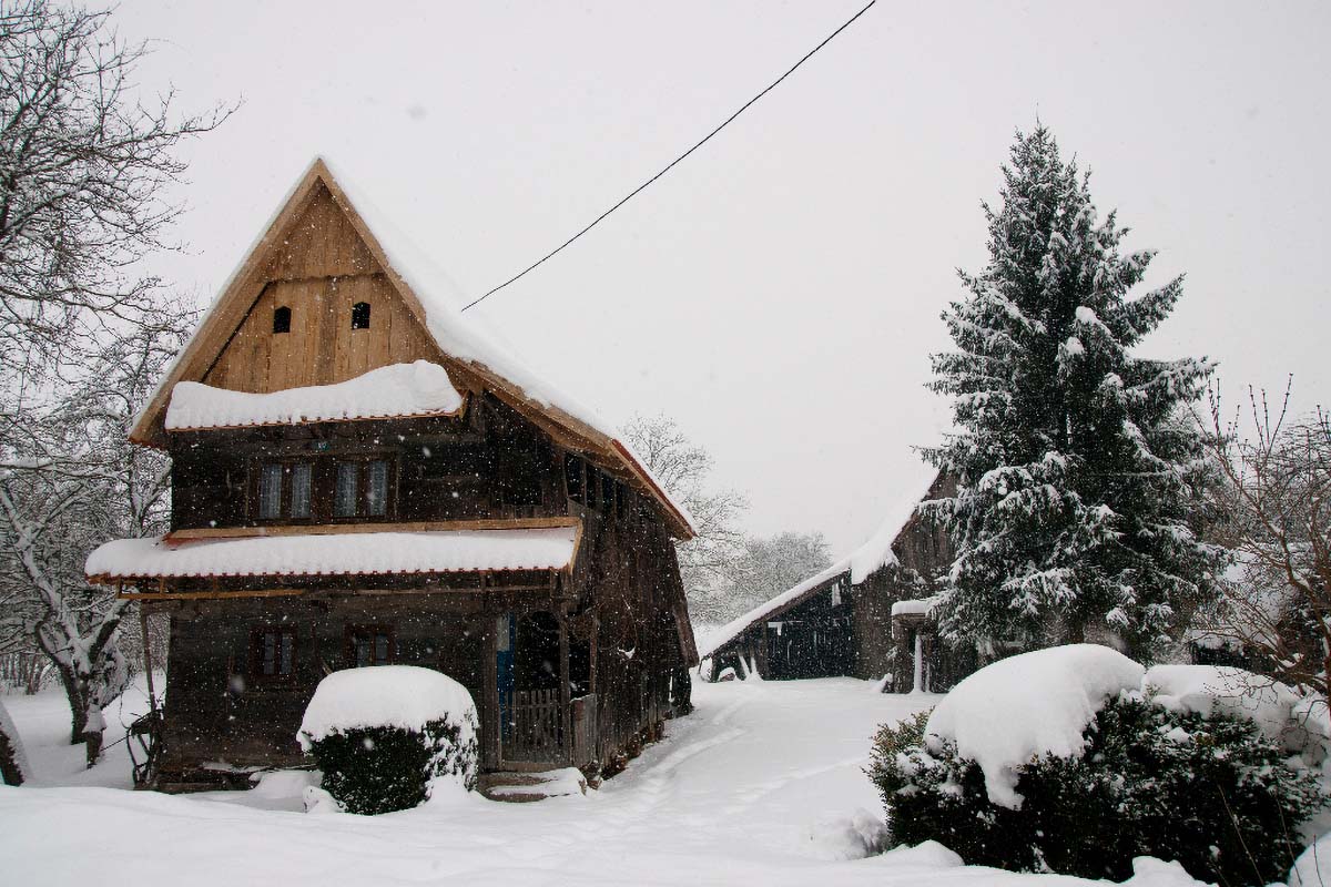 LONJSKO POLJE194 12 02 12