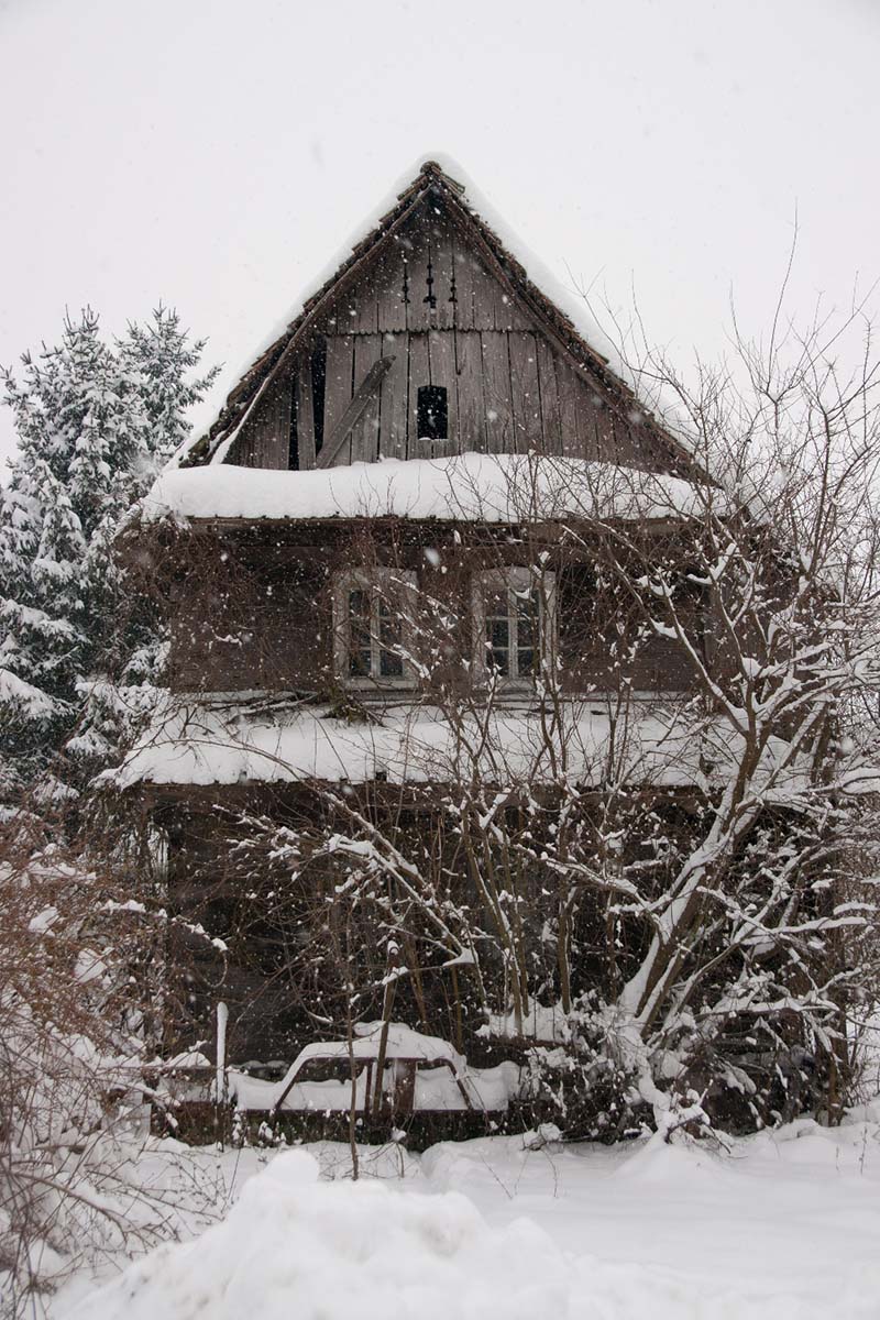 LONJSKO POLJE205 12 02 12