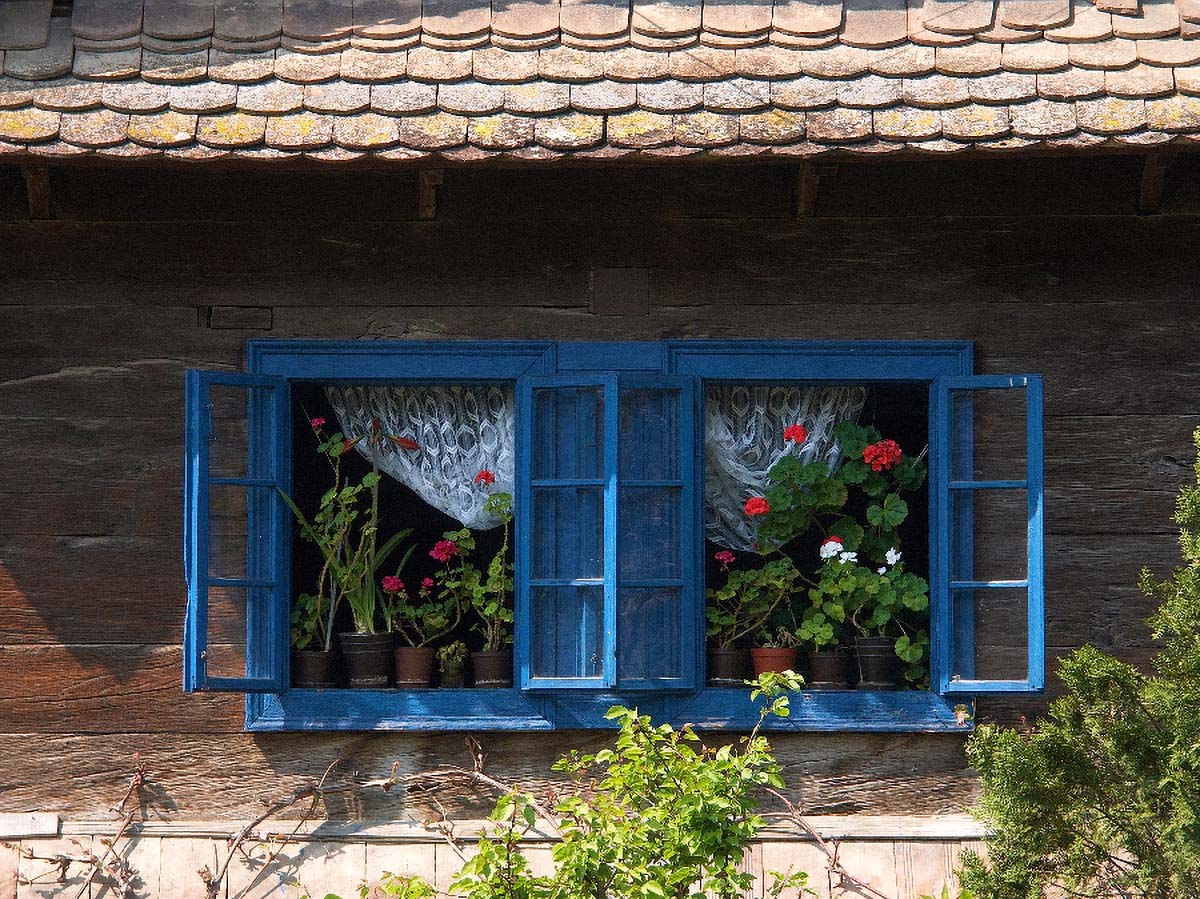 LONJSKO POLJE31 22 04 06