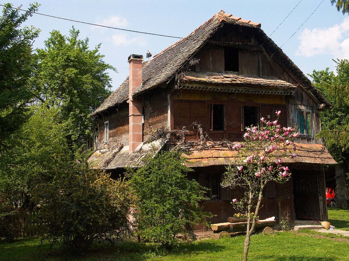 LONJSKO POLJE36 22 04 06