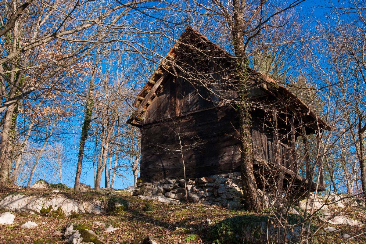 MREZNICA014 29 12 12