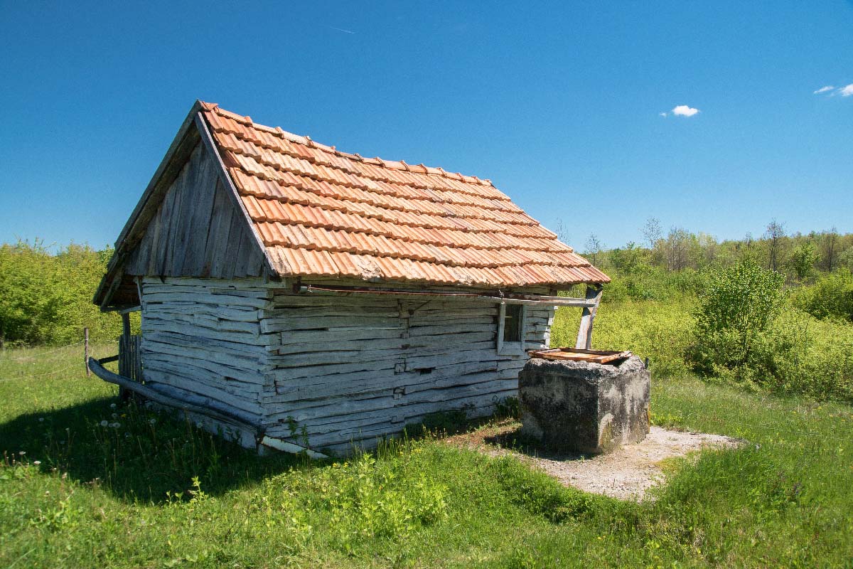 MREZNICA03 06 05 17