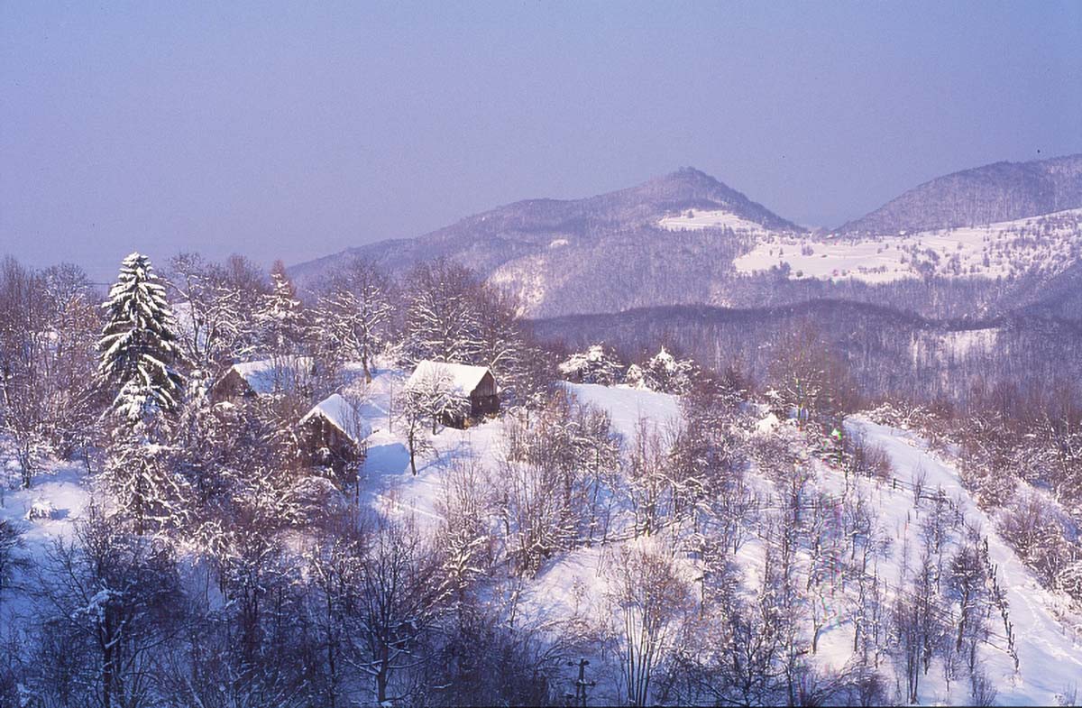 POKLEK ZUMBERAK K14C12