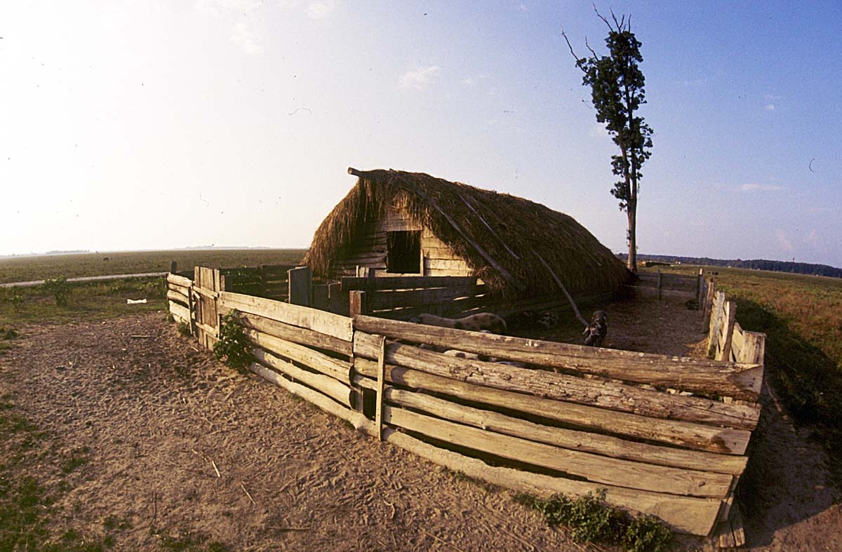 SVINJAC K4B21